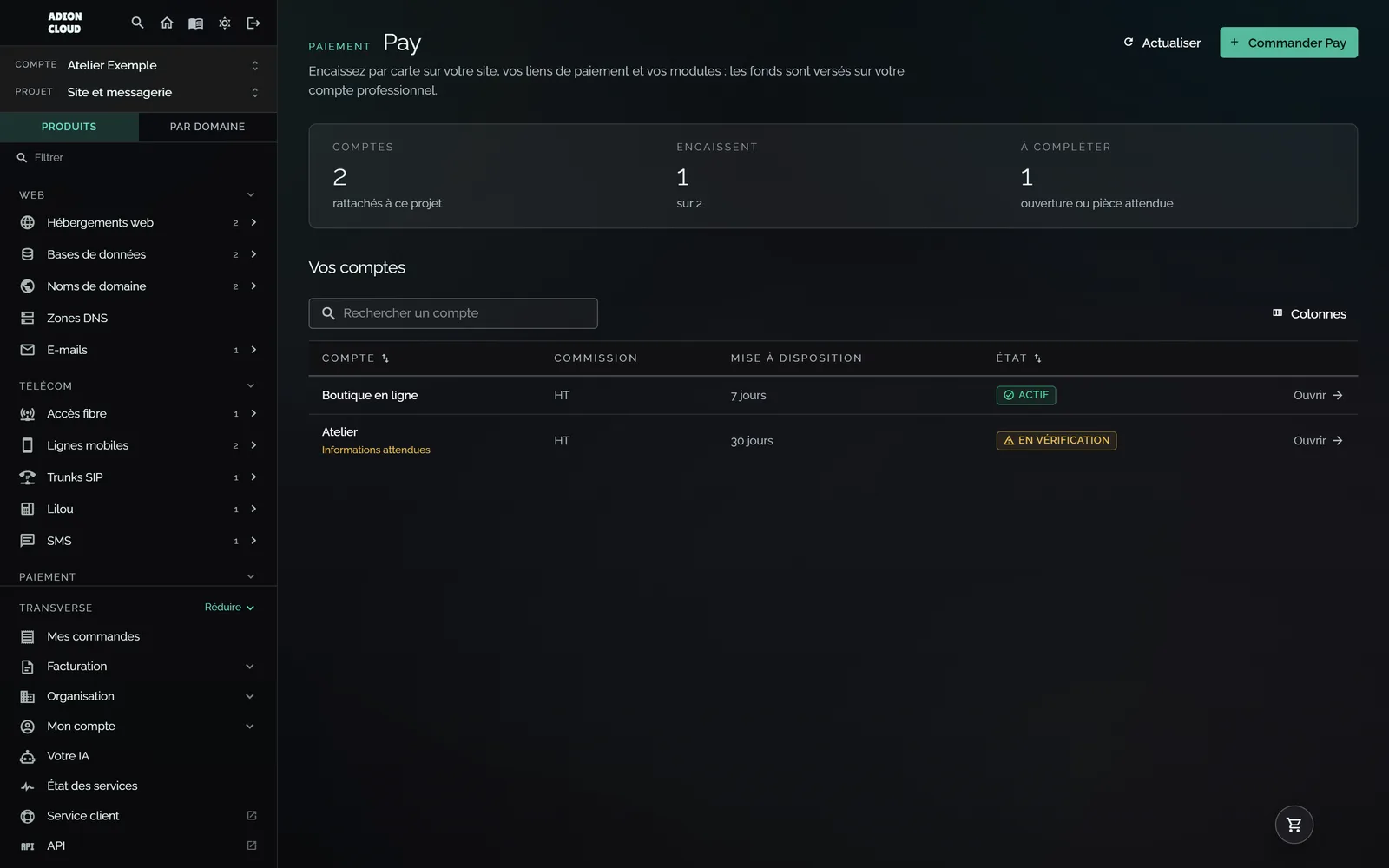 Les comptes Adion Pay, avec leur état et ce qui reste à faire.
